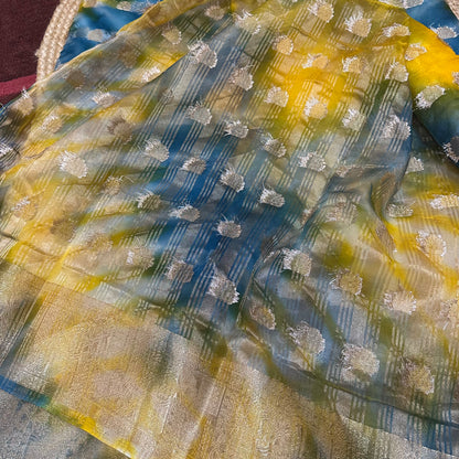 Sari Indian Fancy Casual wear Organza Banarasi Saree SAR6