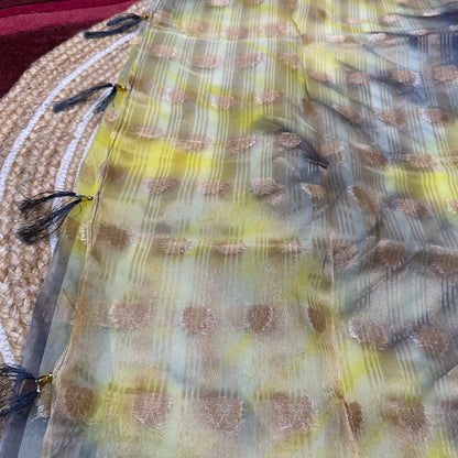 Sari Indian Fancy Casual wear Organza Banarasi Saree SAR6